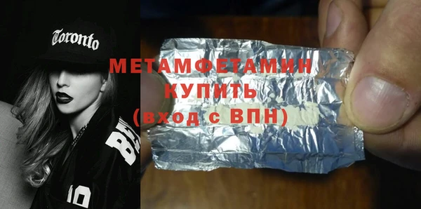 индика Каменка