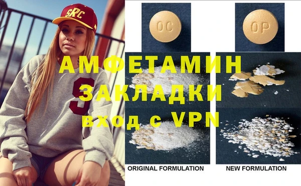 индика Каменка