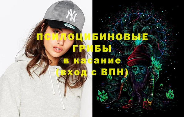индика Каменка