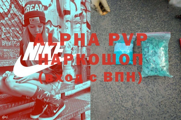 ПСИЛОЦИБИНОВЫЕ ГРИБЫ Каменногорск