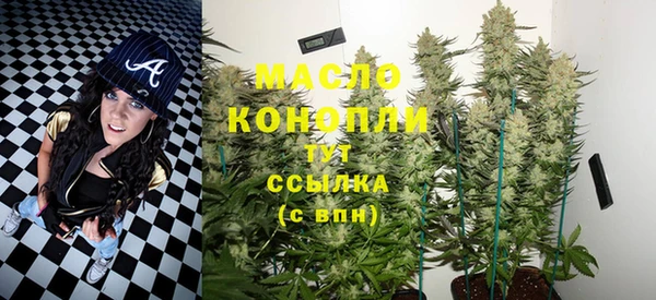индика Каменка