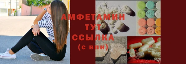 индика Каменка
