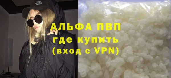 индика Каменка