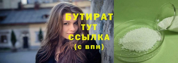 индика Каменка