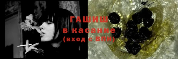 индика Каменка