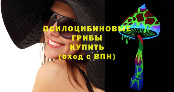 твердый Каменск-Шахтинский