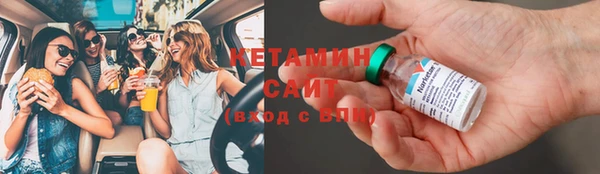 индика Каменка