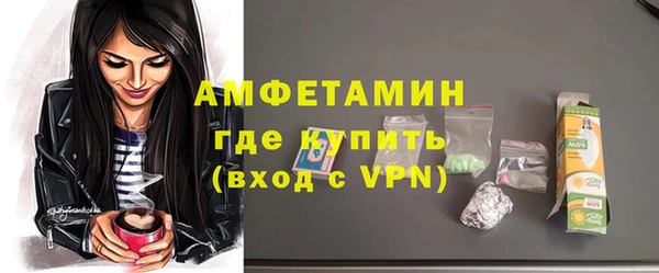 индика Каменка