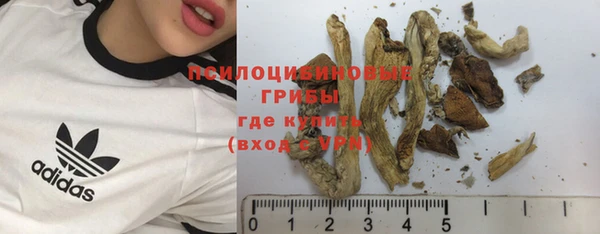 индика Каменка