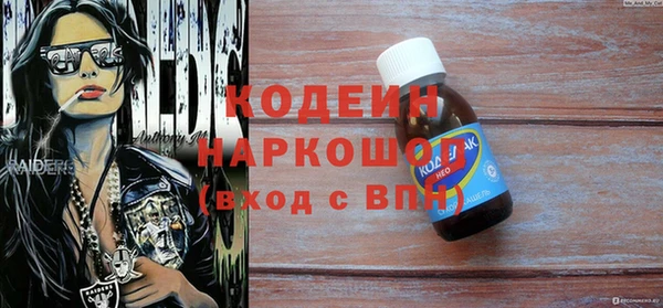индика Каменка