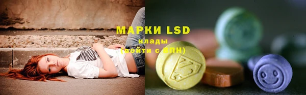 индика Каменка