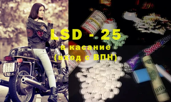 ПСИЛОЦИБИНОВЫЕ ГРИБЫ Каменногорск