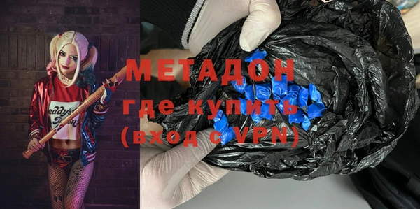 индика Каменка
