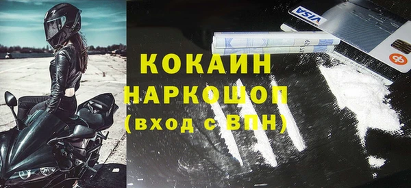 индика Каменка