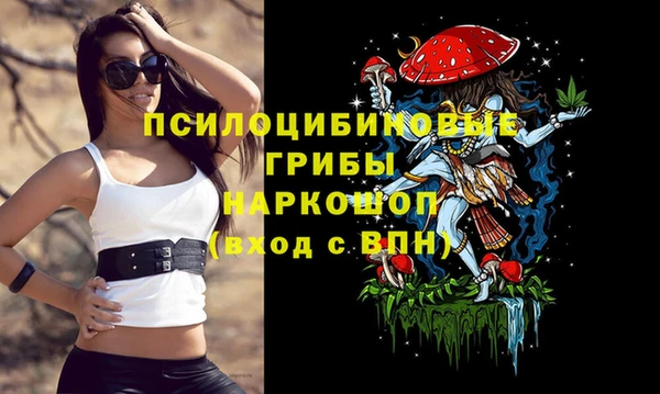 твердый Каменск-Шахтинский