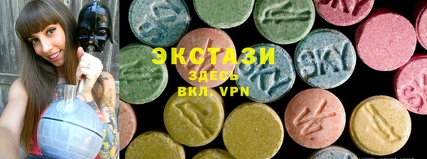 индика Каменка