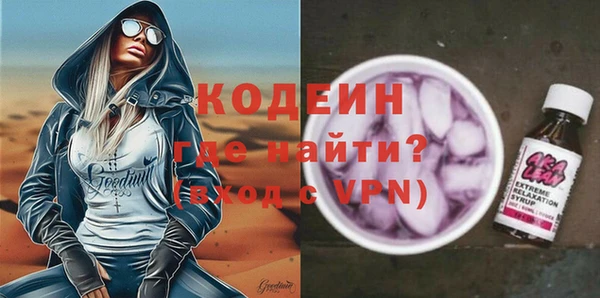 индика Каменка