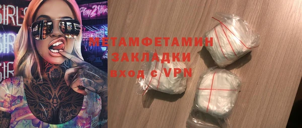 индика Каменка