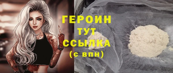 индика Каменка